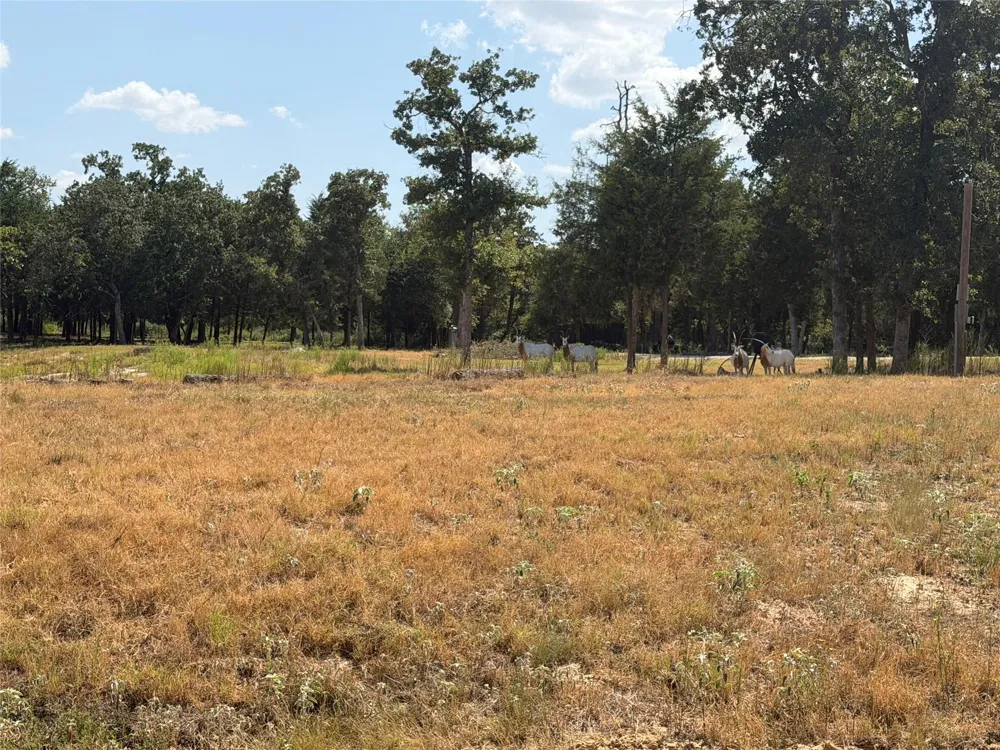 3803 Pr 4100 W Marquez, TX 77865