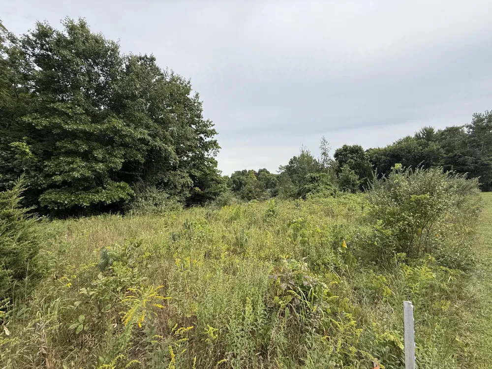 Sawyer Road Sawyer, MI 49125