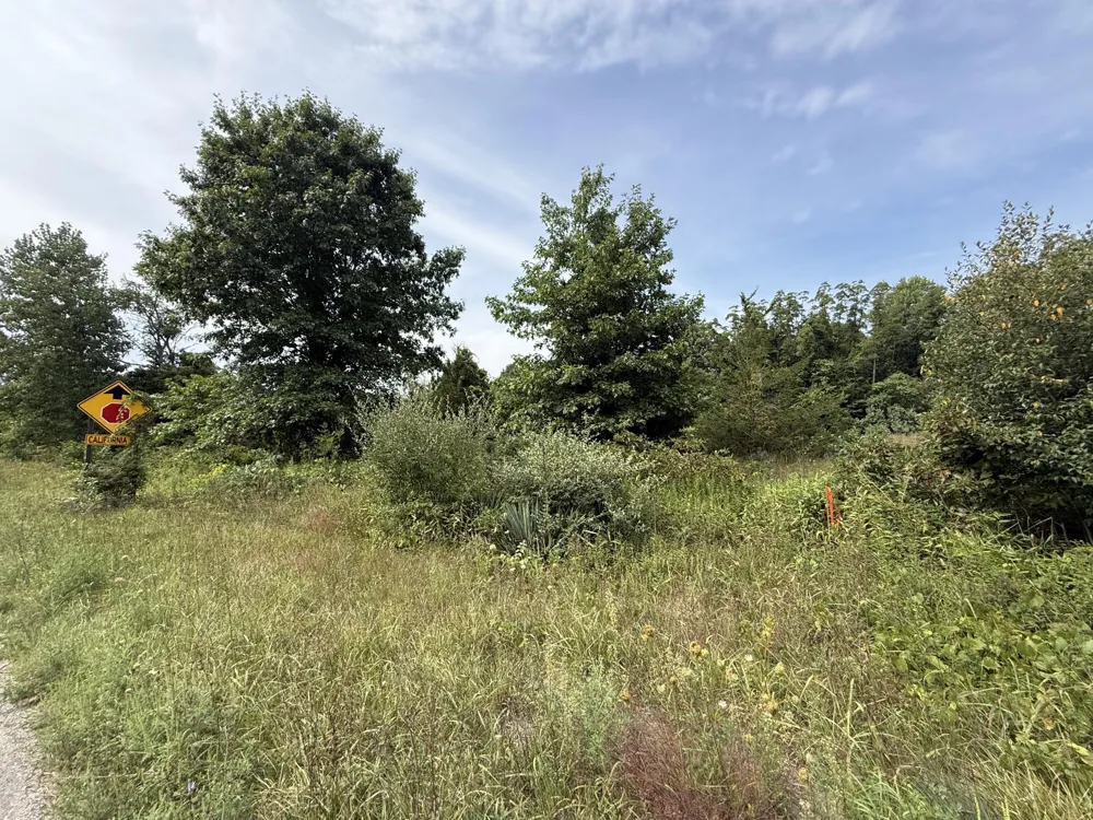 Sawyer Road Sawyer, MI 49125