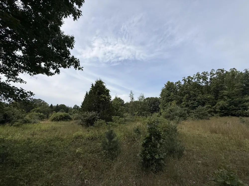 Sawyer Road Sawyer, MI 49125