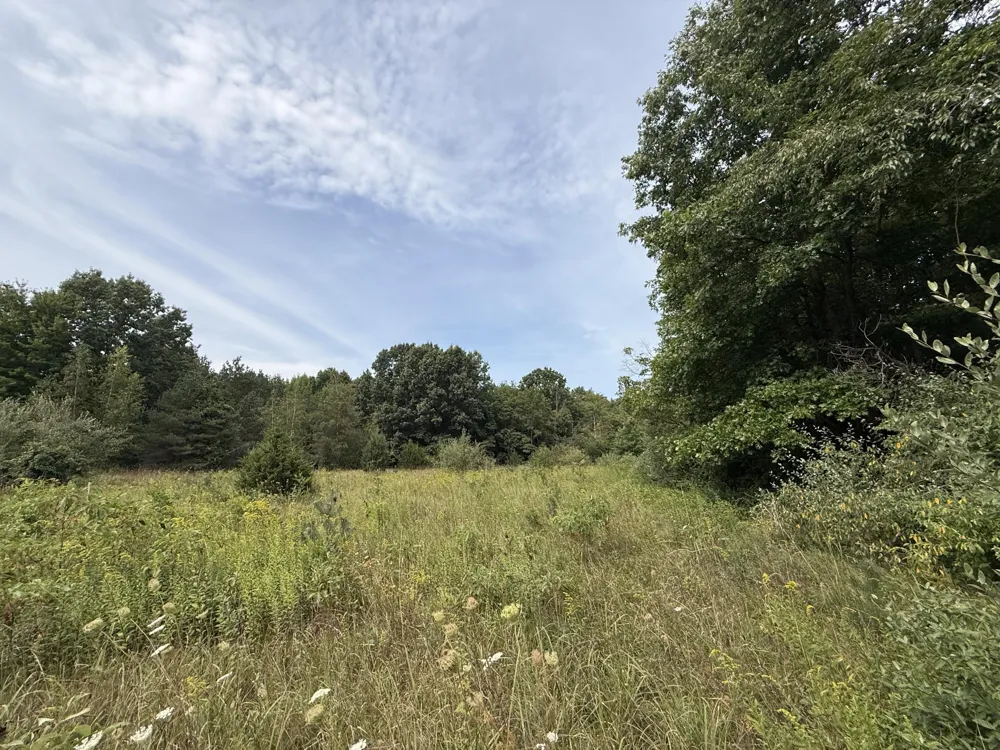 Sawyer Road Sawyer, MI 49125