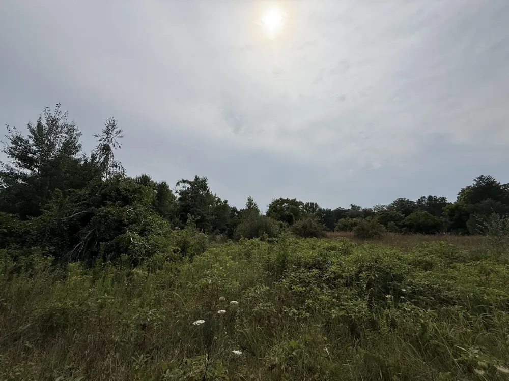 Sawyer Road Sawyer, MI 49125