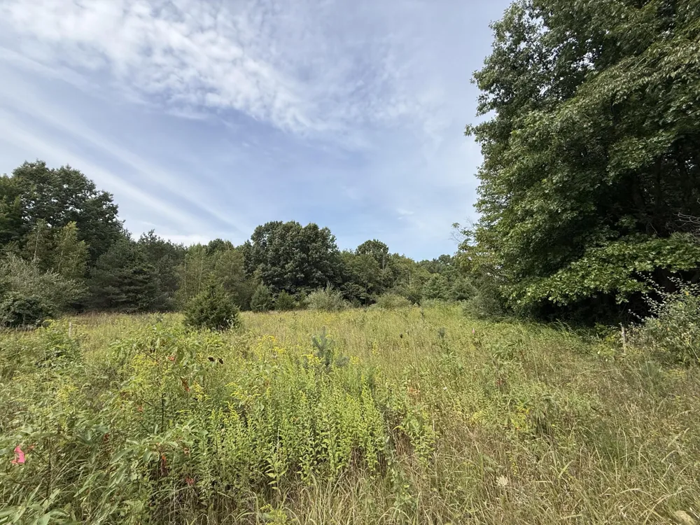 Sawyer Road Sawyer, MI 49125