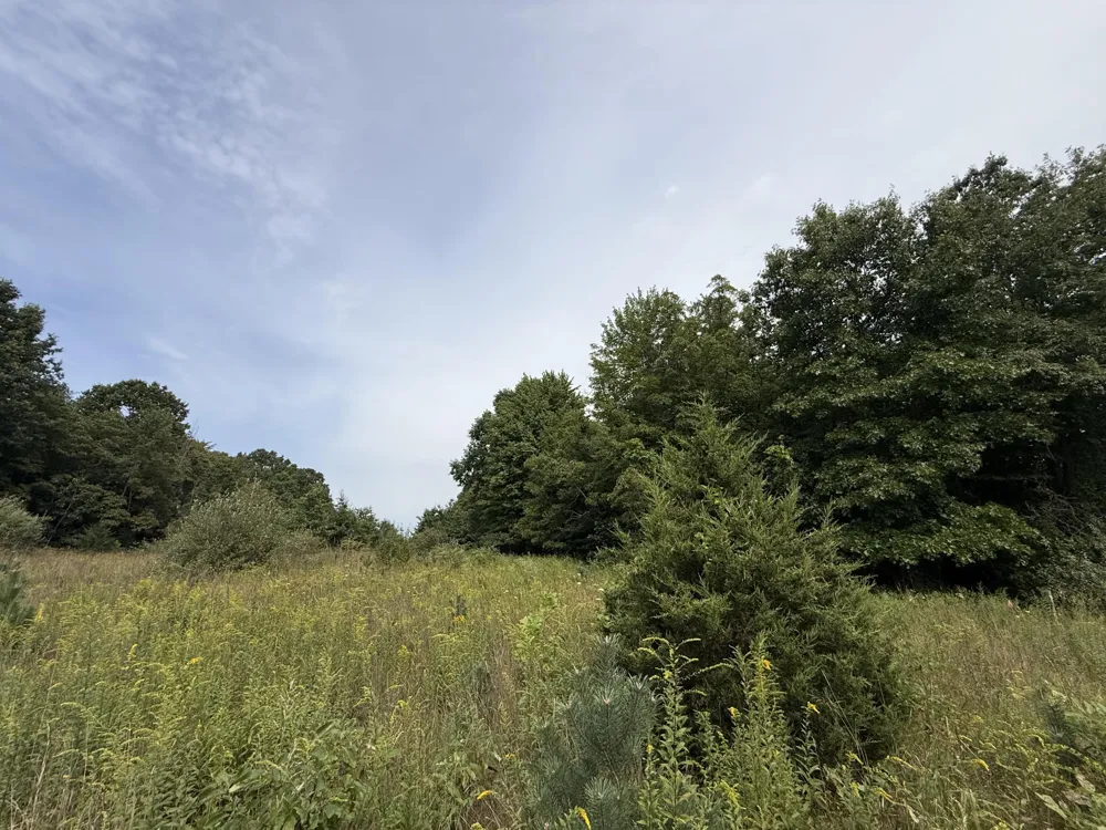 Sawyer Road Sawyer, MI 49125