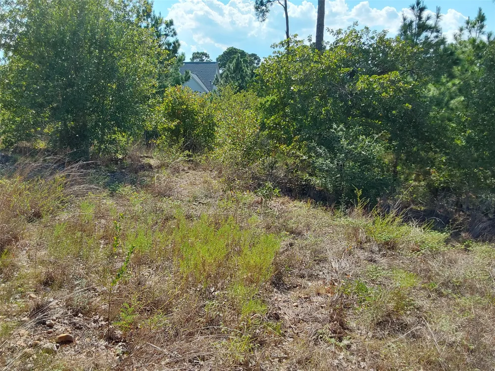 128 Mokalau Drive Bastrop, TX 78602