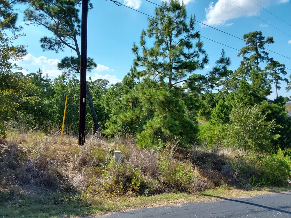 128 Mokalau Drive Bastrop, TX 78602