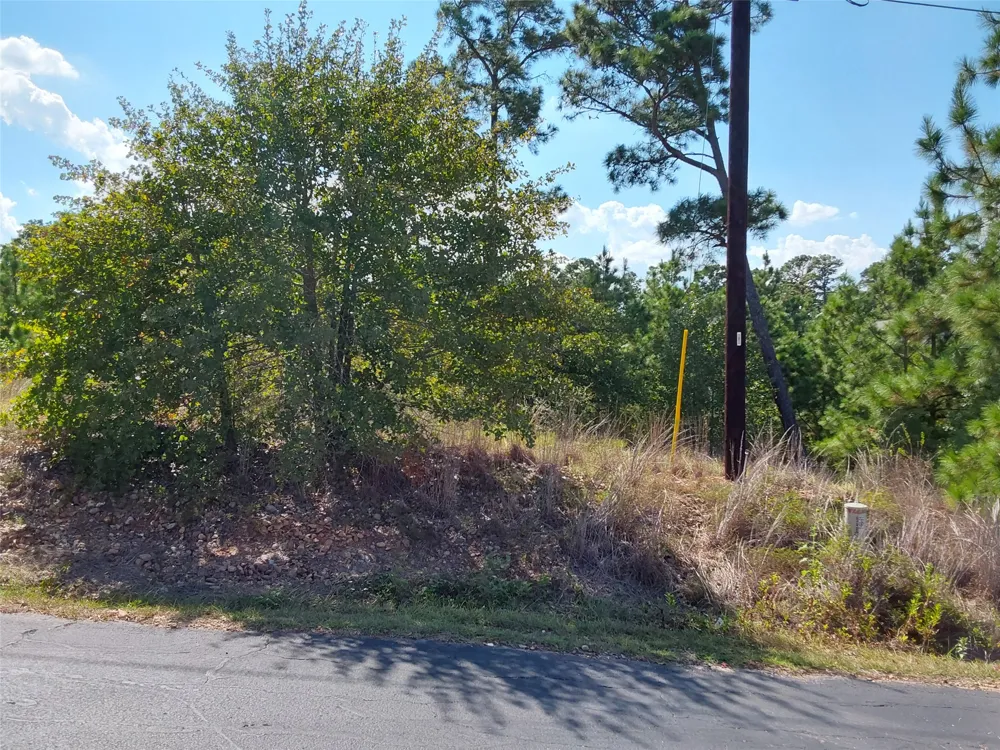 128 Mokalau Drive Bastrop, TX 78602