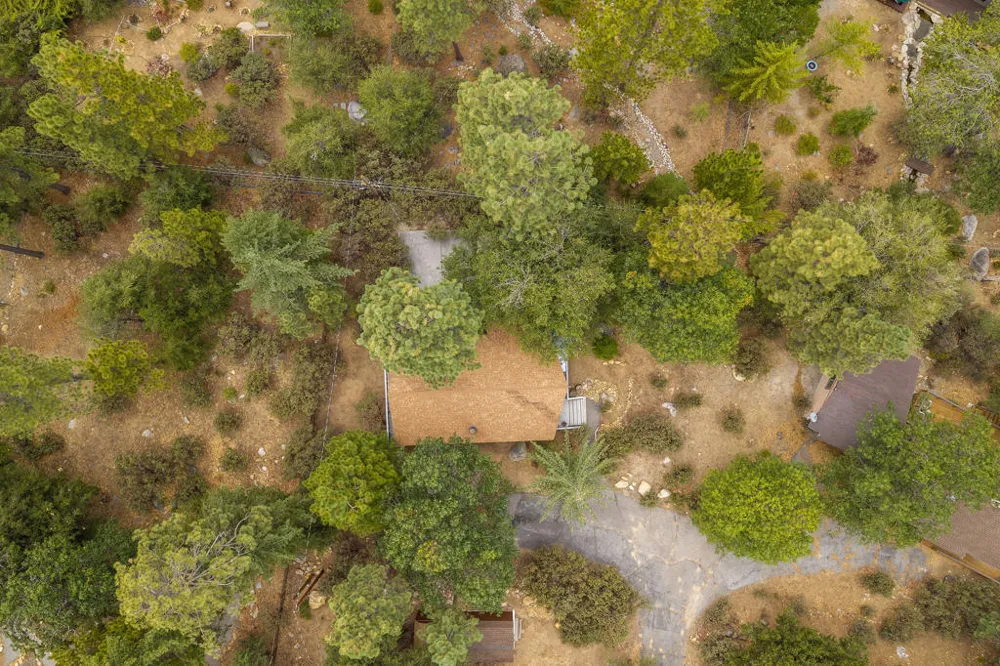 25461 Glen Road Idyllwild, CA 92549