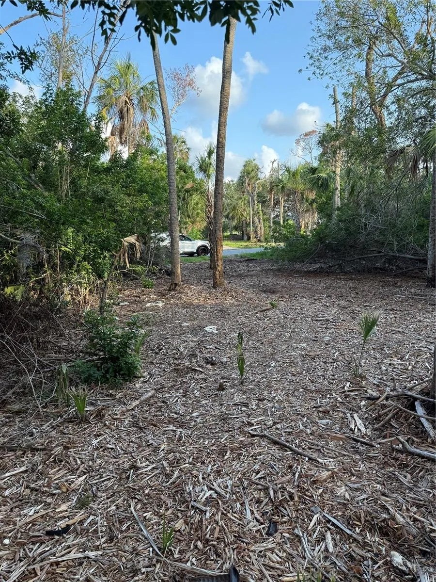 1471 S ESTUARY DRIVE Crystal River, FL 34429