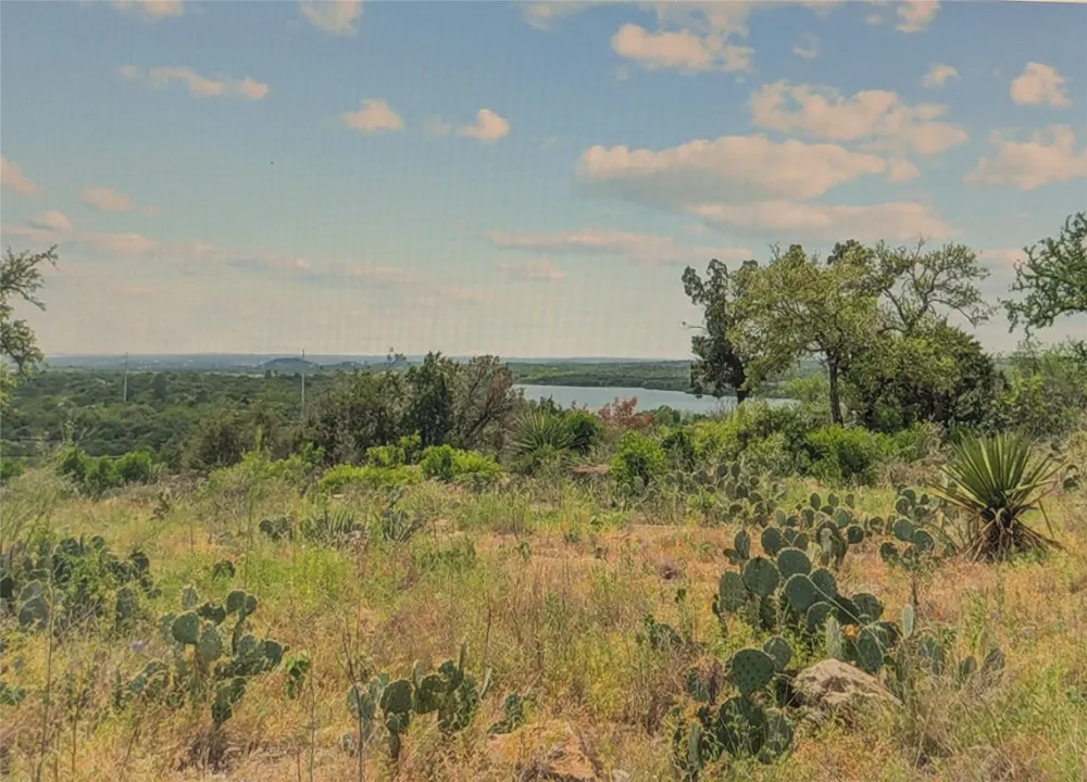 68 War Bonnet Ridge Kingsland, TX 78639