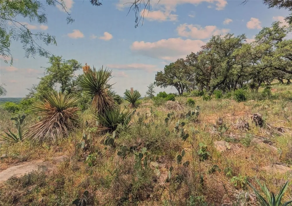 68 War Bonnet Ridge Kingsland, TX 78639