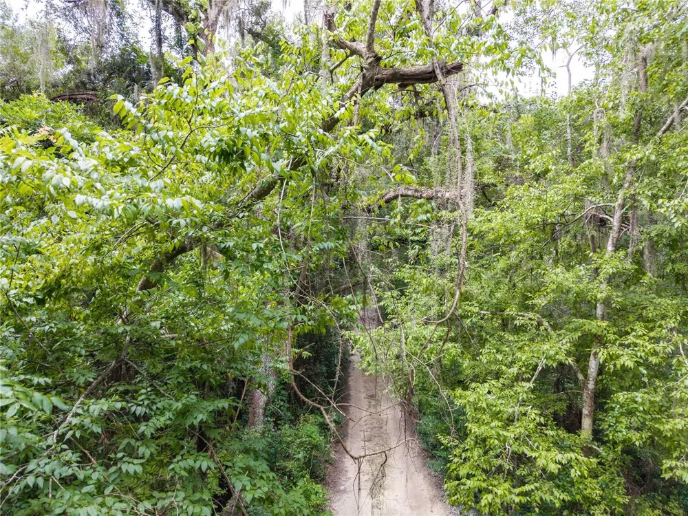 SW 57TH RD Gainesville, FL 32608