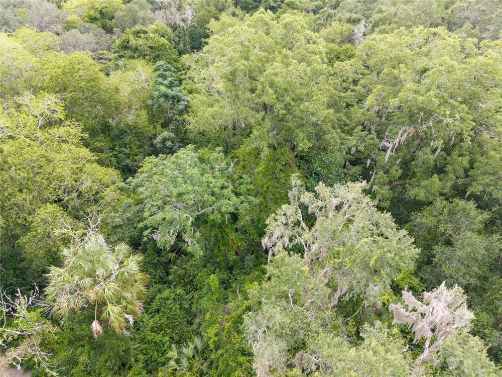 SW 57TH RD Gainesville, FL 32608