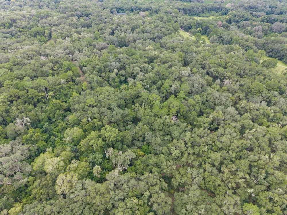 SW 57TH RD Gainesville, FL 32608