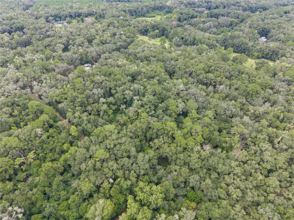 SW 57TH RD Gainesville, FL 32608