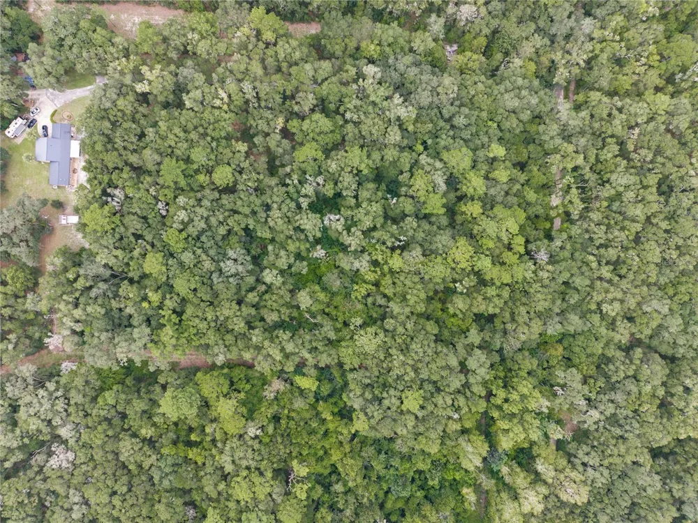 SW 57TH RD Gainesville, FL 32608
