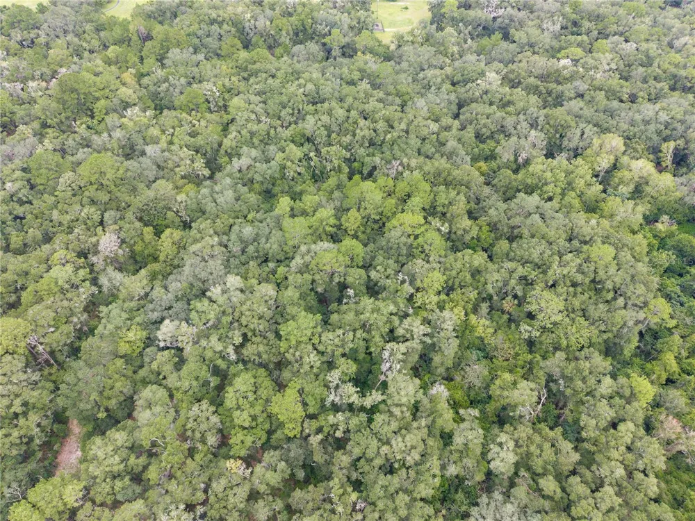 SW 57TH RD Gainesville, FL 32608