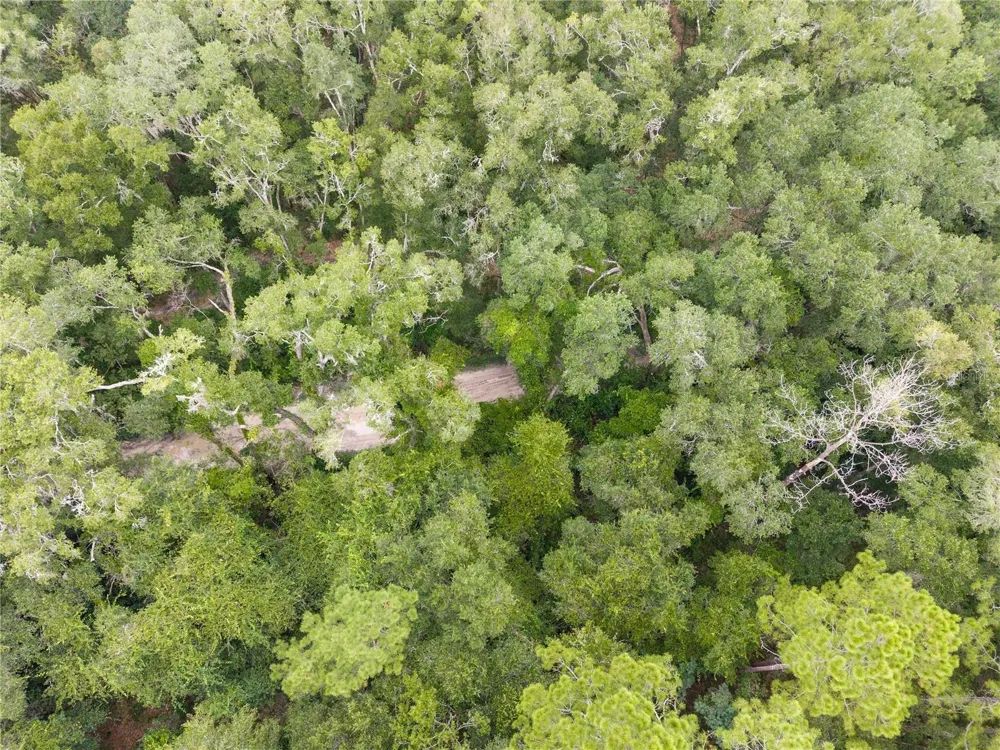 SW 57TH RD Gainesville, FL 32608