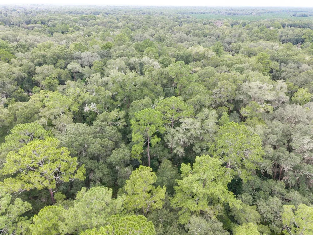 SW 57TH RD Gainesville, FL 32608