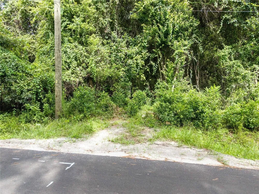 319 SE 20TH STREET Gainesville, FL 32641