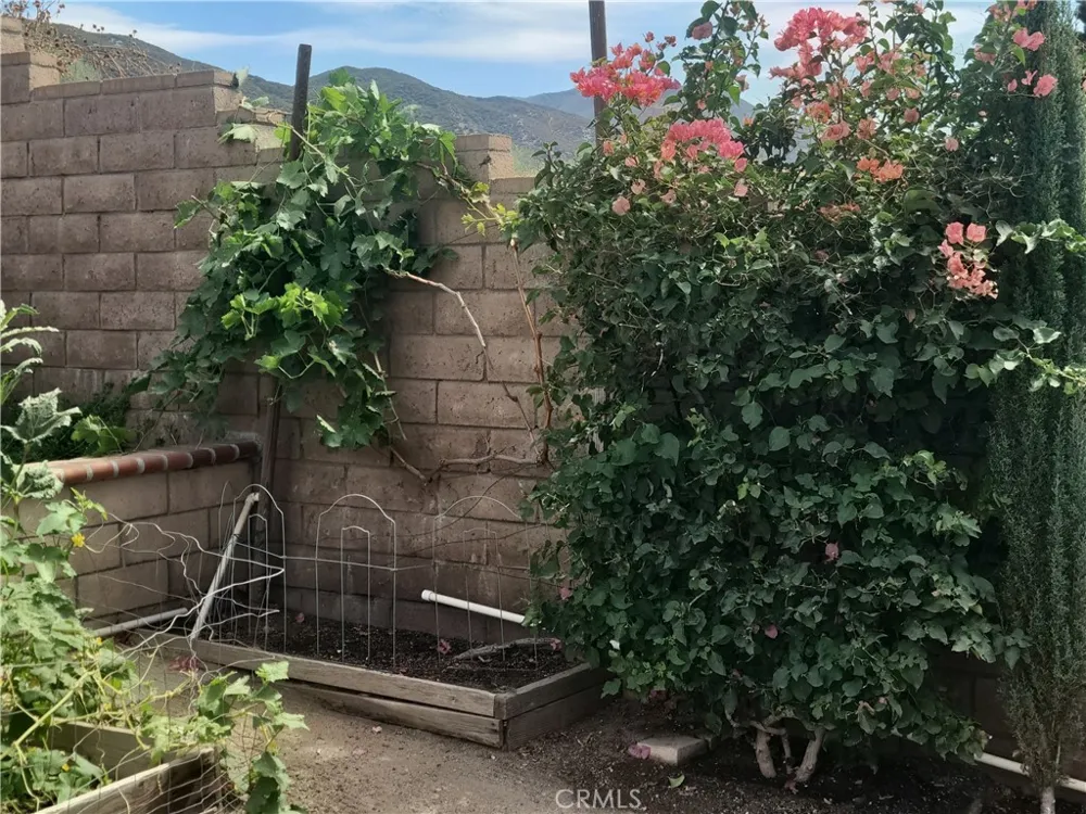 7039 Antique Street San Bernardino, CA 92407