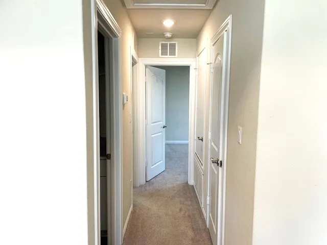 612 Red Knot Avenue Leander, TX 78641