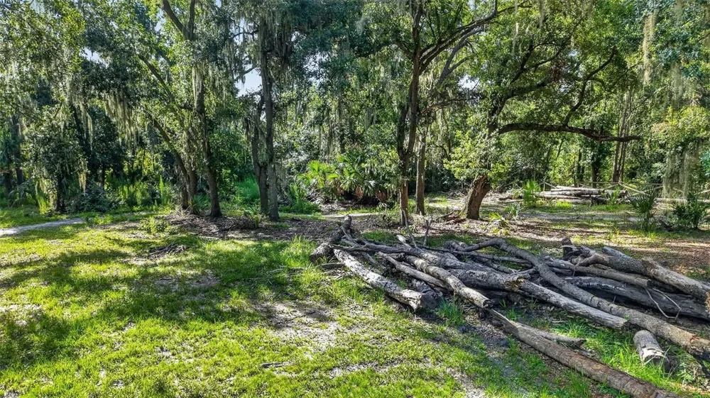 8922 PRITCHER ROAD Lithia, FL 33547