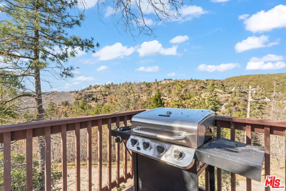 595 Elder Drive Cedar Glen, CA 92321