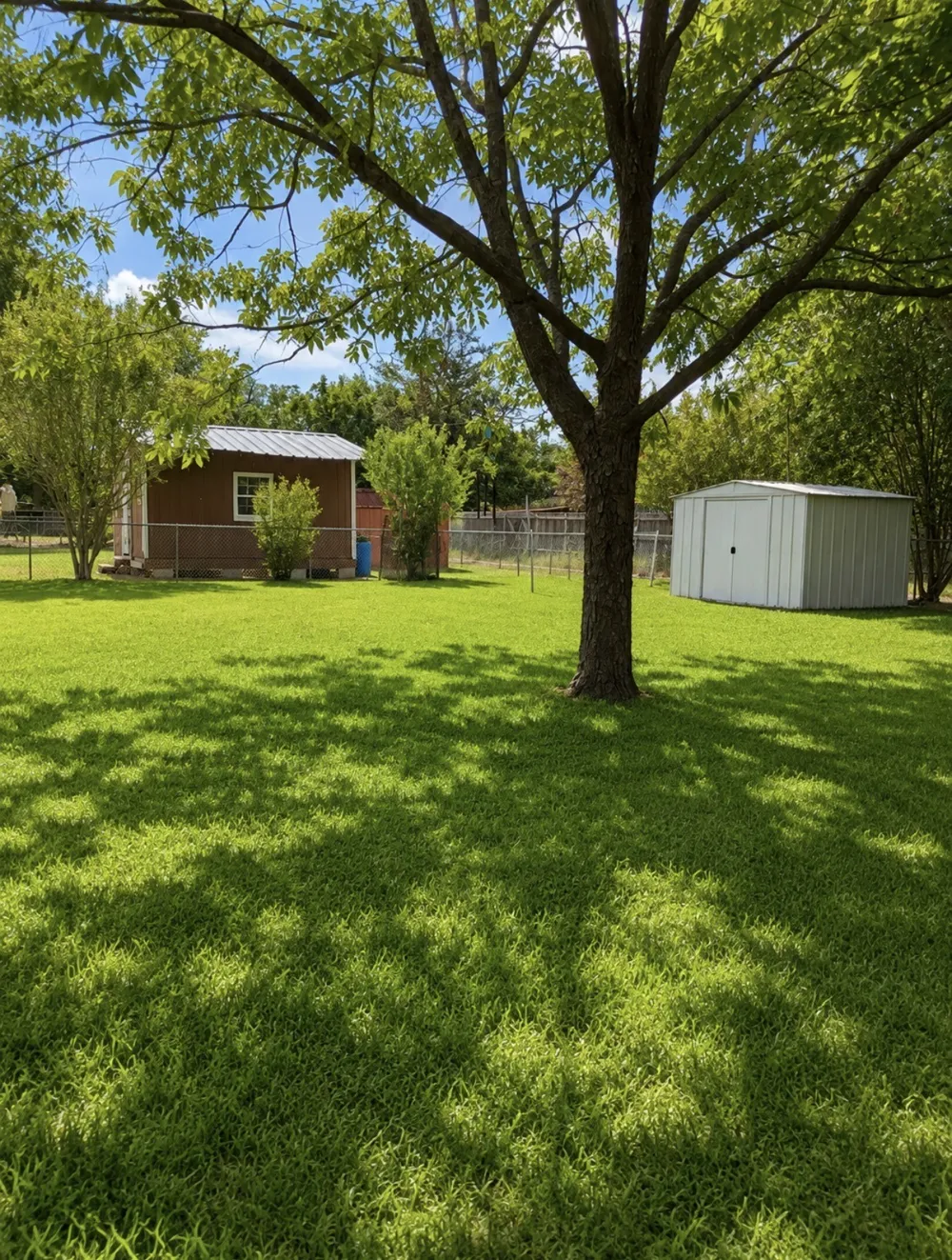4407 Mcarthur Circle Brownwood, TX 76801