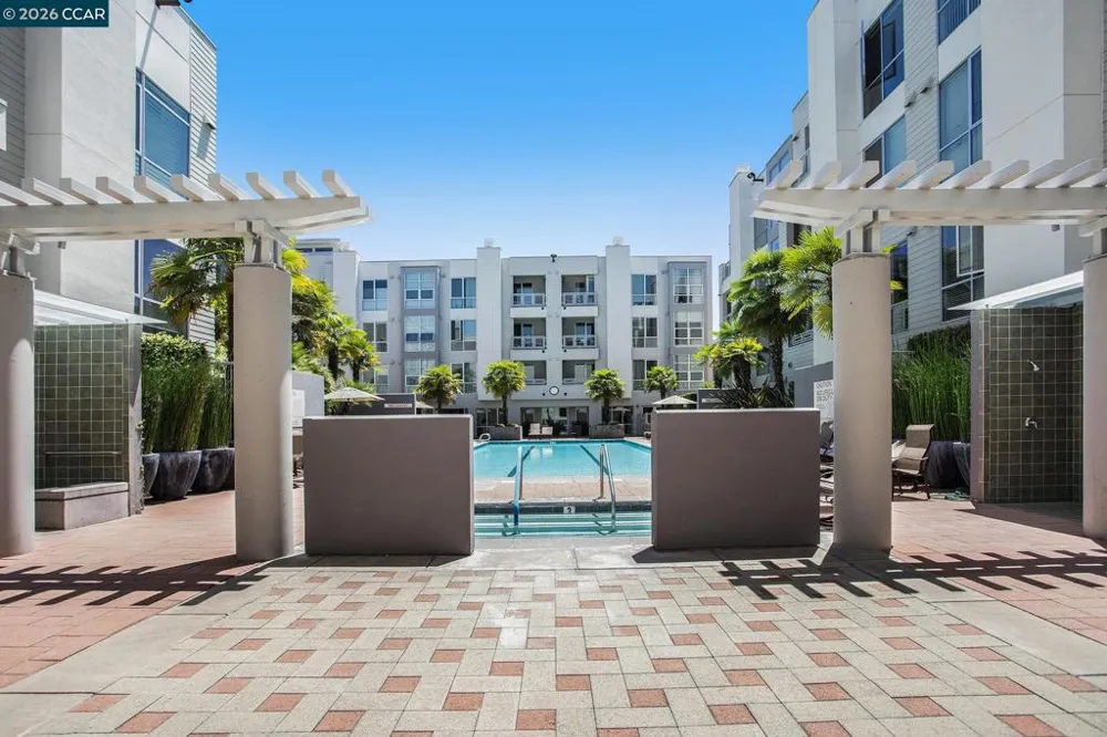 1655 California Blvd. #248 Walnut Creek, CA 94596