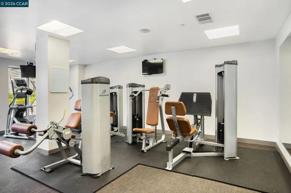 1655 California Blvd. #248 Walnut Creek, CA 94596