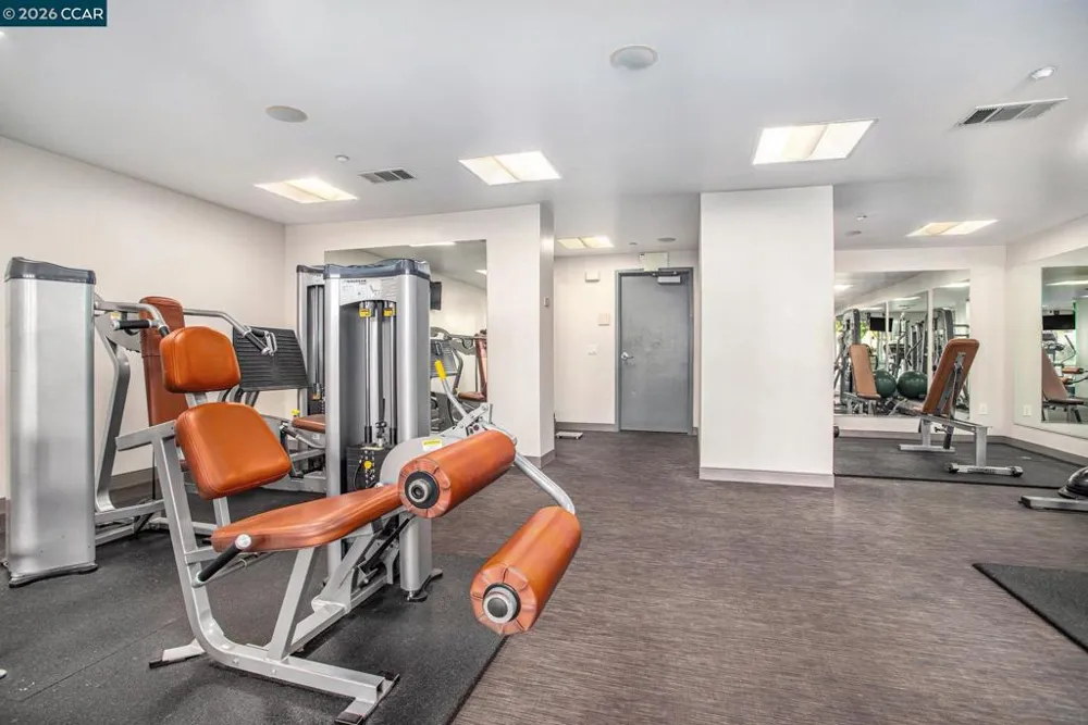 1655 California Blvd. #248 Walnut Creek, CA 94596
