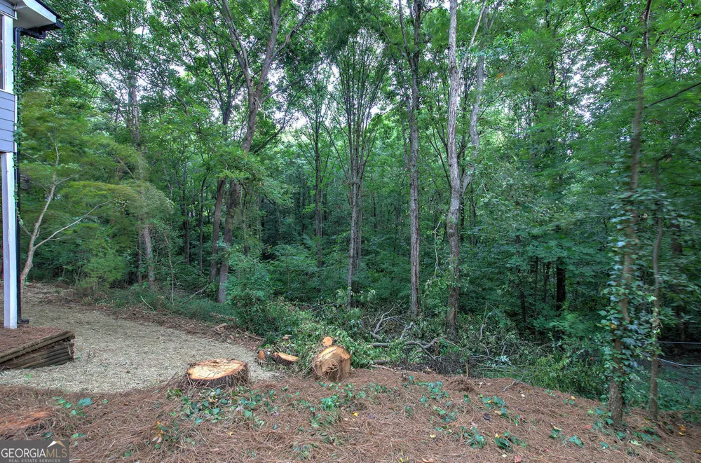 530 Cove RD Canton, GA 30114