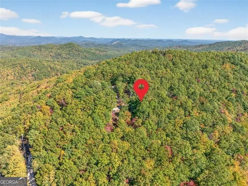 727 Bonanza LN Tiger, GA 30576