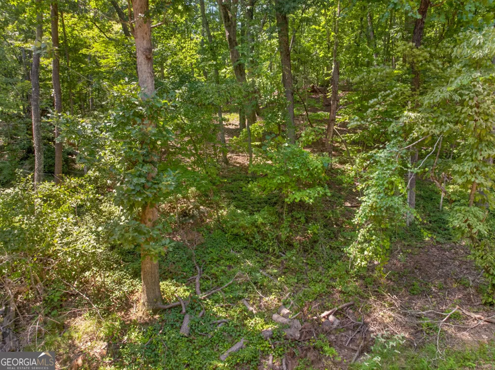 0 Waters Edge DR Clarkesville, GA 30523