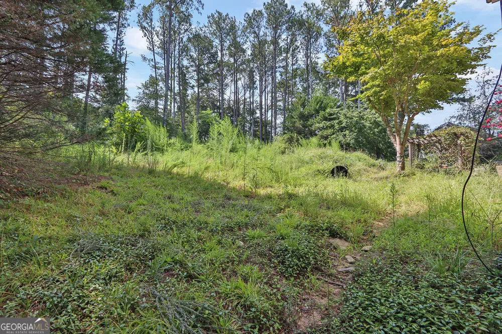 1530 Timberline TRCE Snellville, GA 30078
