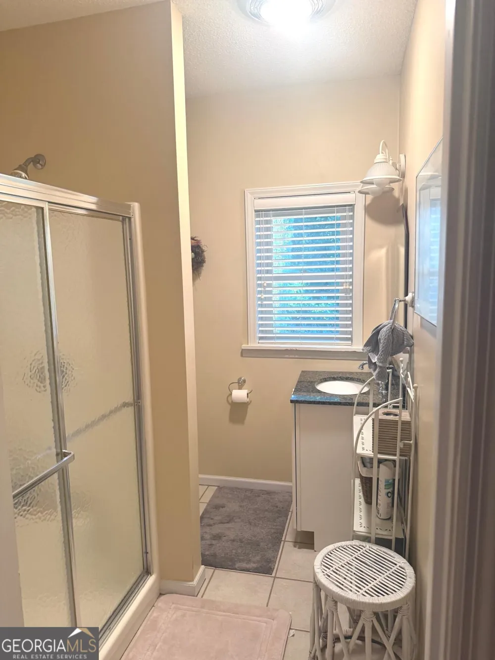234 Saddleback CIR Dillard, GA 30537