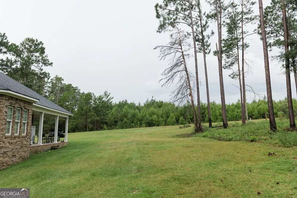 28 Oak Ridge DR Butler, GA 31006