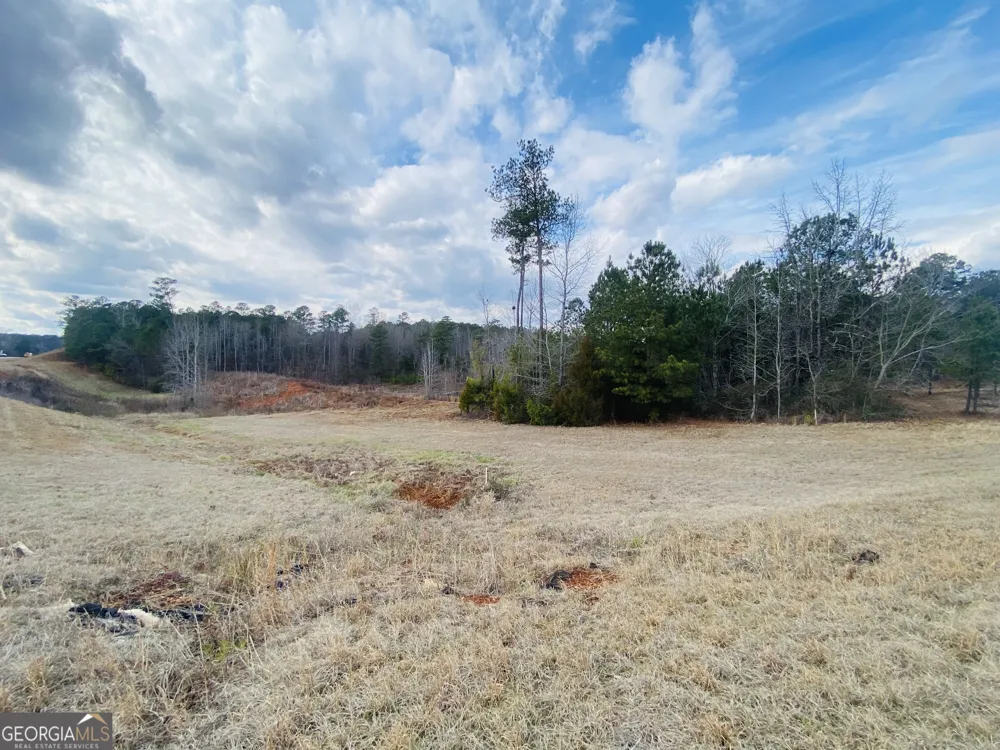 95 Knight TRL Thomaston, GA 30286