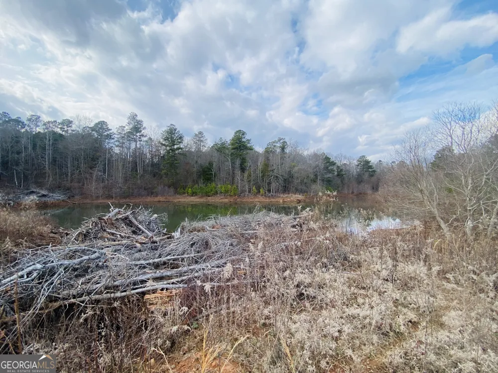 95 Knight TRL Thomaston, GA 30286