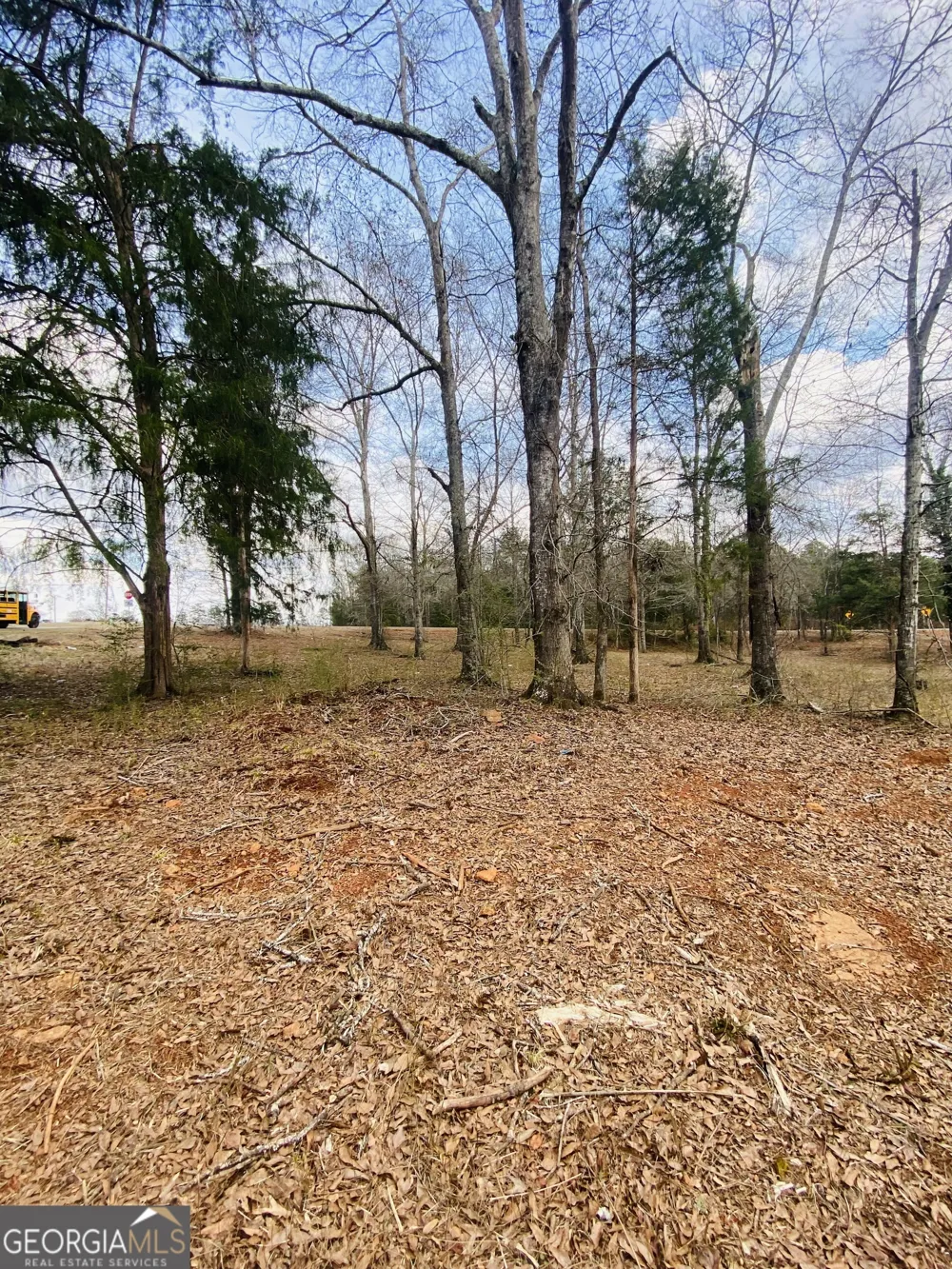 95 Knight TRL Thomaston, GA 30286