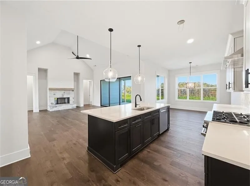 303 Eminence peak Rydal, GA 30171