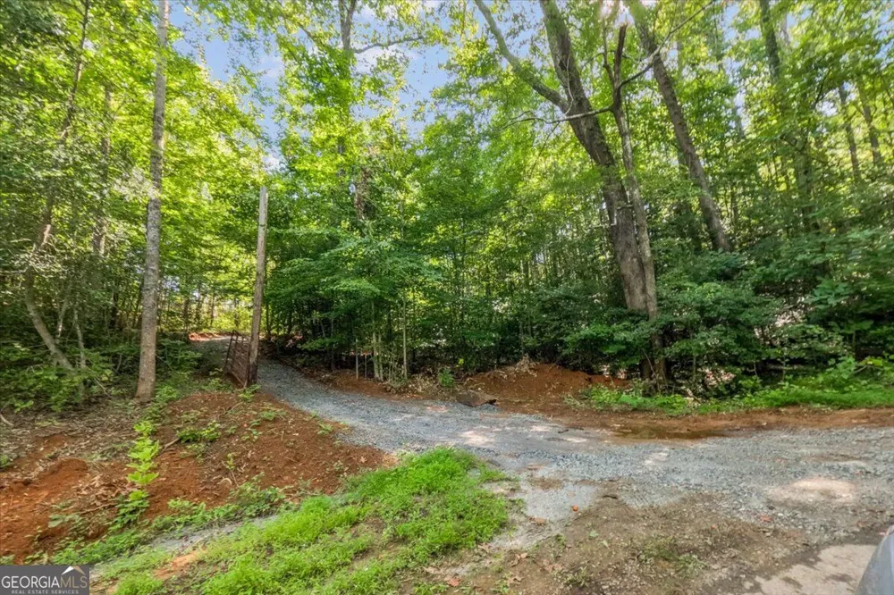 LOT 1 & 2 The Bear BLVD Tamassee, SC 29696