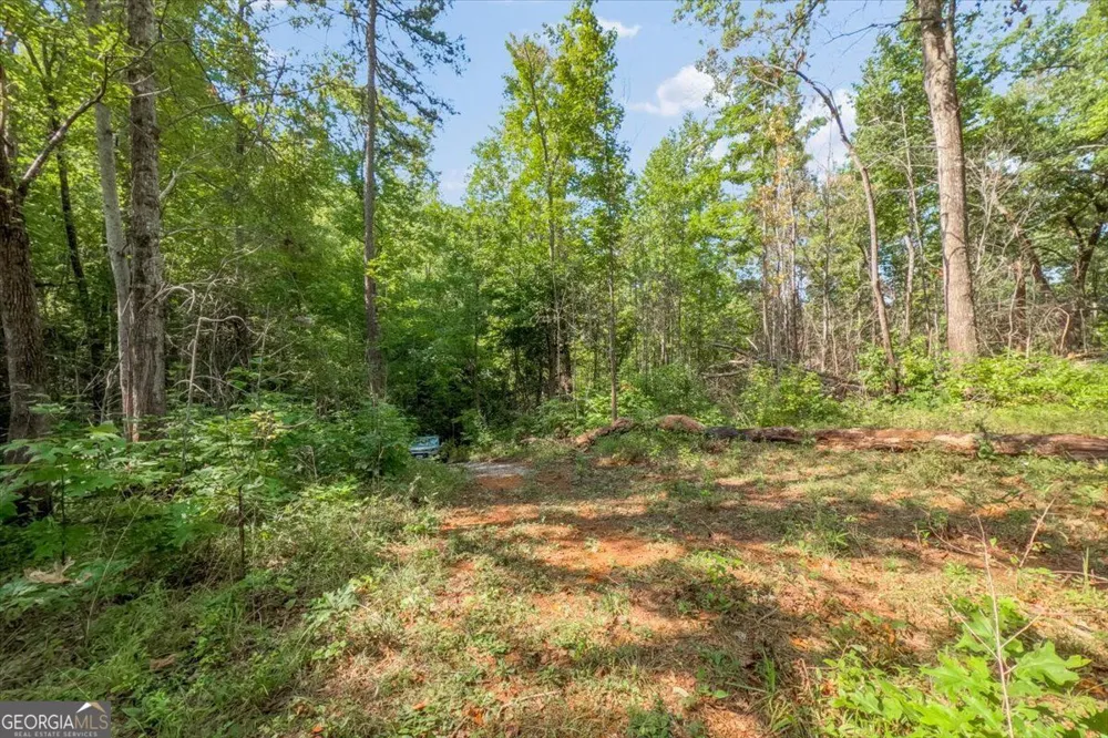 LOT 1 & 2 The Bear BLVD Tamassee, SC 29696