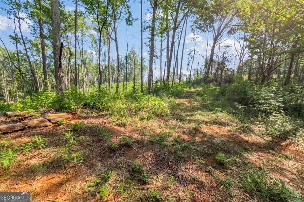 LOT 1 & 2 The Bear BLVD Tamassee, SC 29696