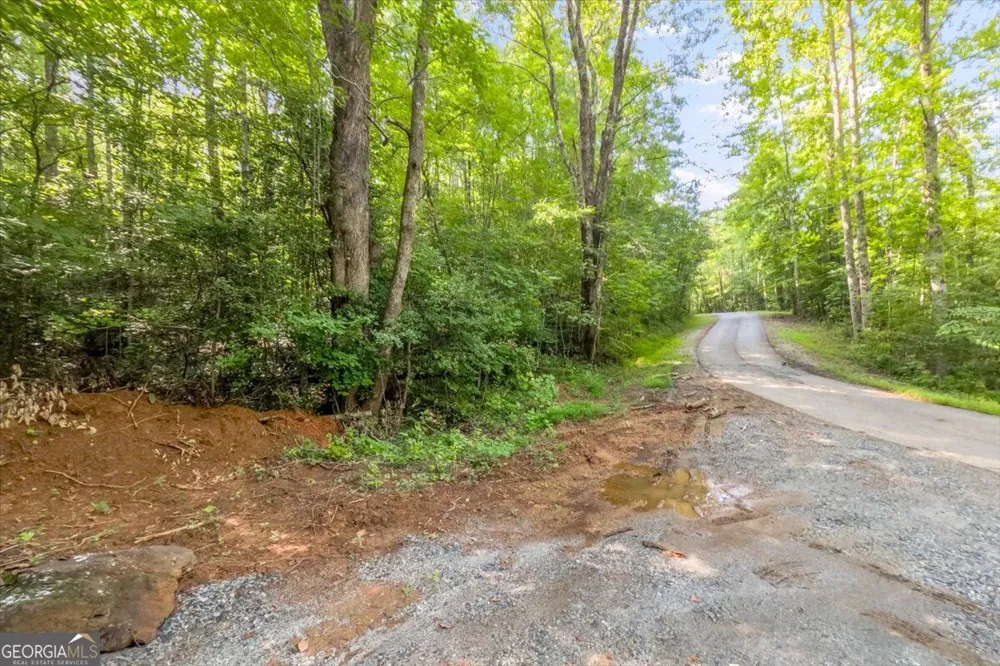 LOT 1 & 2 The Bear BLVD Tamassee, SC 29696