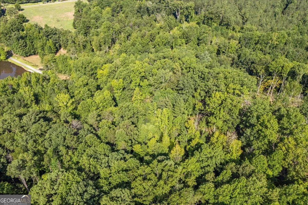 LOT 1 & 2 The Bear BLVD Tamassee, SC 29696