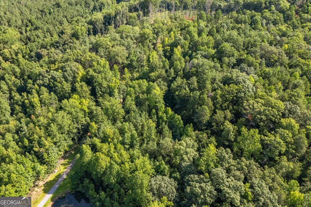 LOT 1 & 2 The Bear BLVD Tamassee, SC 29696
