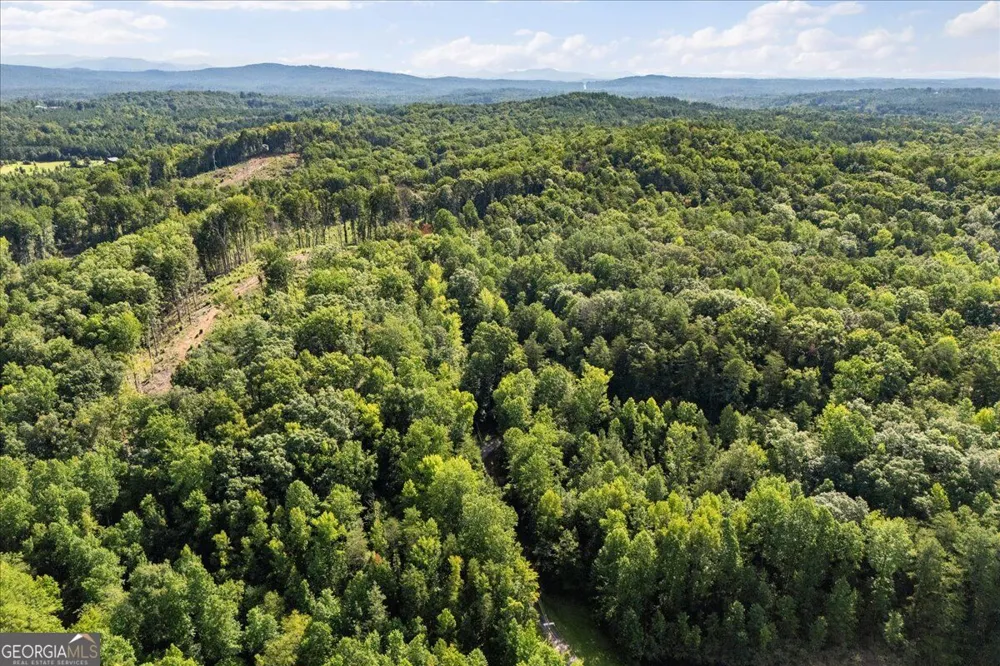 LOT 1 & 2 The Bear BLVD Tamassee, SC 29696