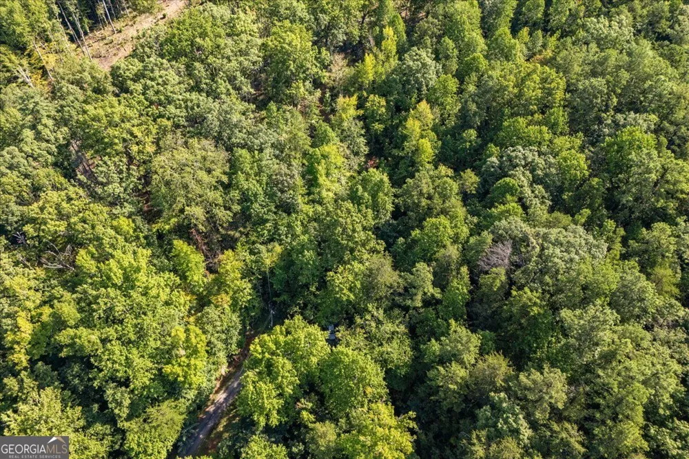 LOT 1 & 2 The Bear BLVD Tamassee, SC 29696